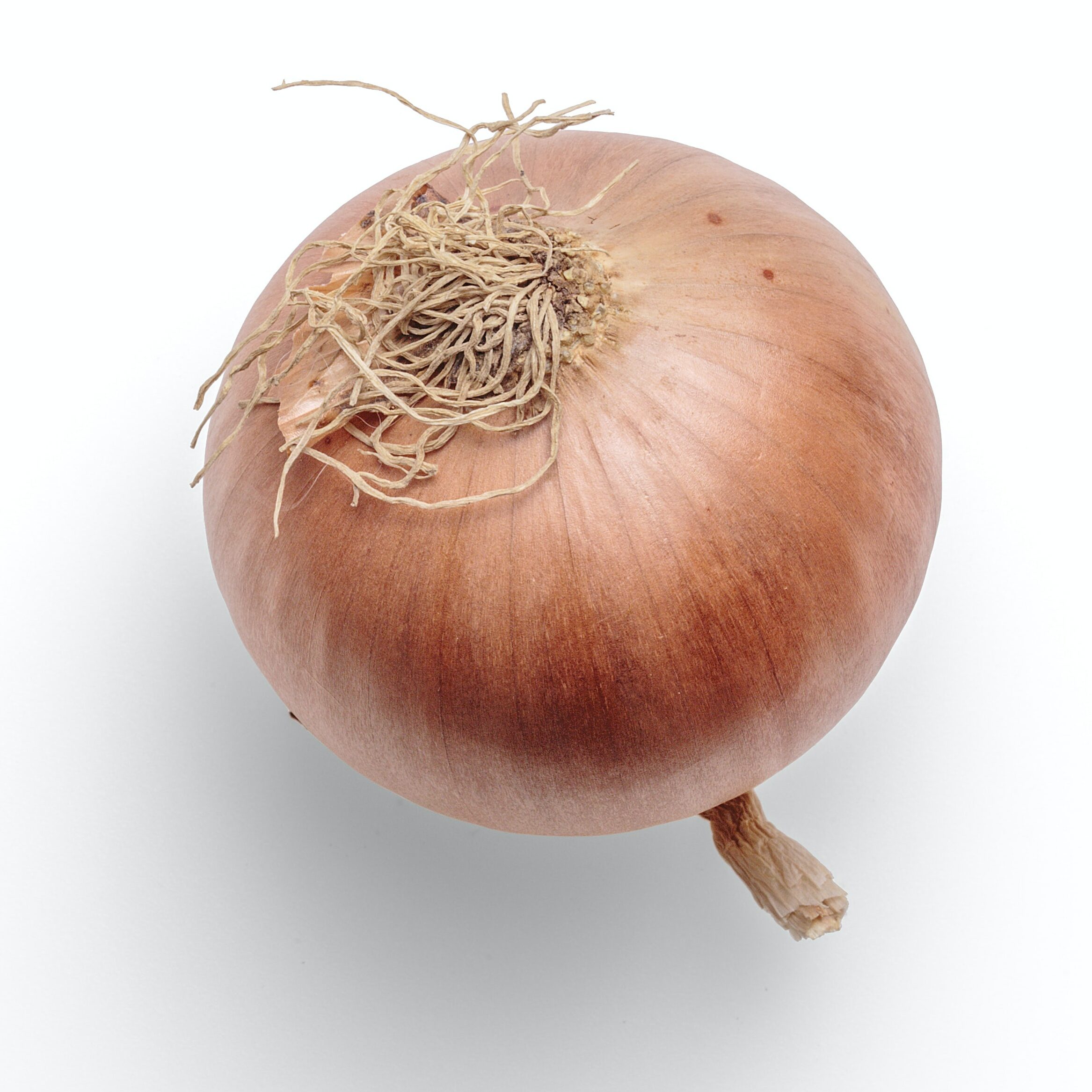 Onion